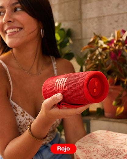 Parlante JBL Flip 6